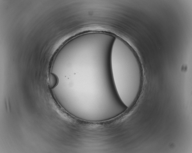X0000111020837200906191228