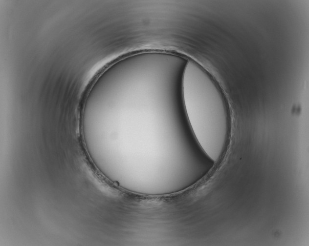 X0000111020838200906191228