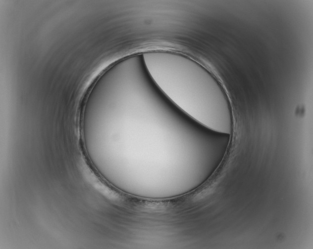 X0000111020843200906191228