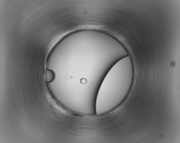 X0000111020844200906191228