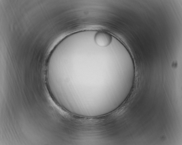 X0000111020851200906191228