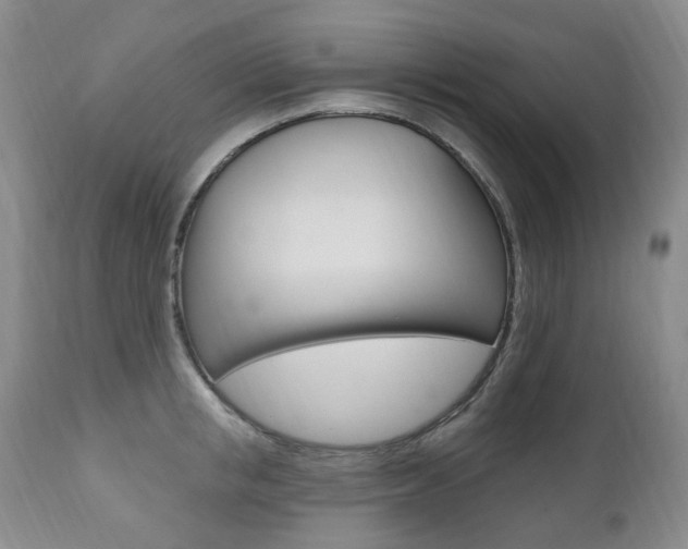 X0000111020853200906191228