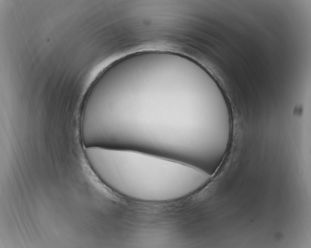 X0000111020854200906191229