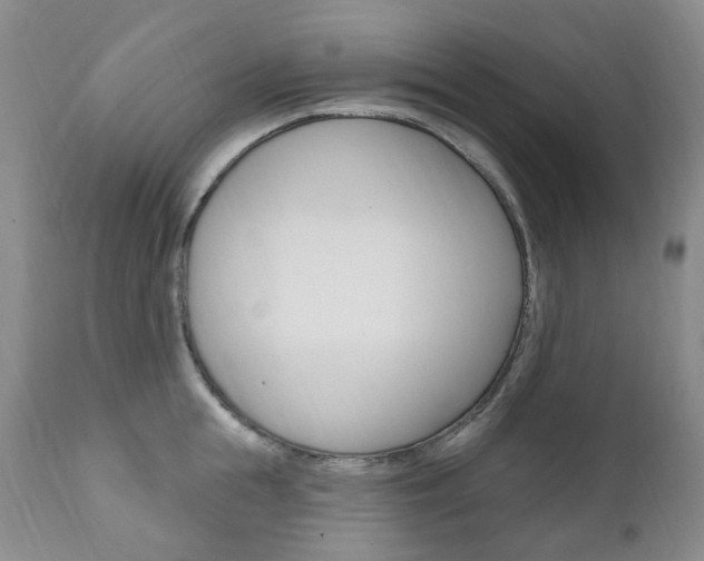 X0000111020855200906191229