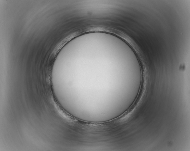 X0000111020857200906191229