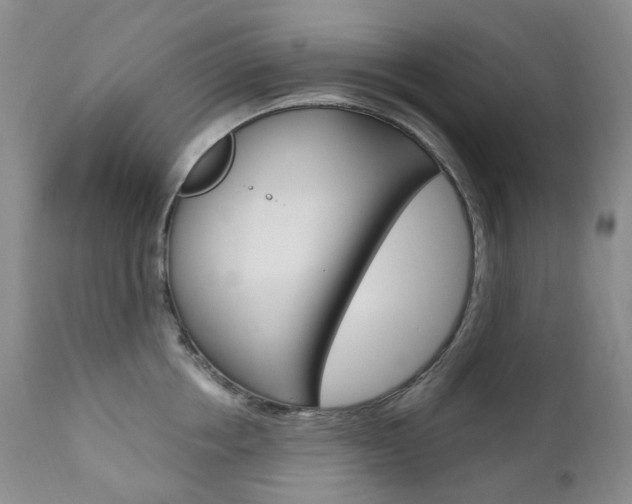 X0000111020858200906191229