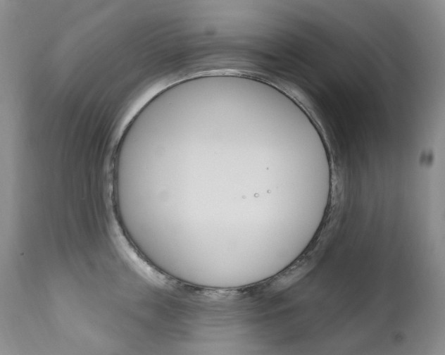 X0000111020859200906191229