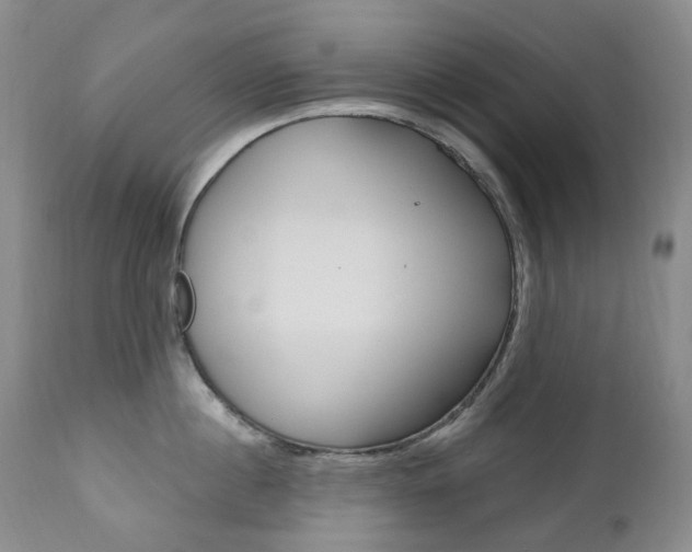 X0000111020860200906191229