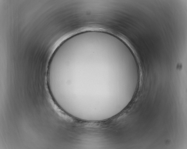 X0000111020861200906191229