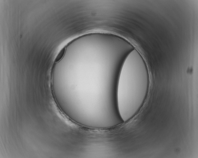X0000111020862200906191229