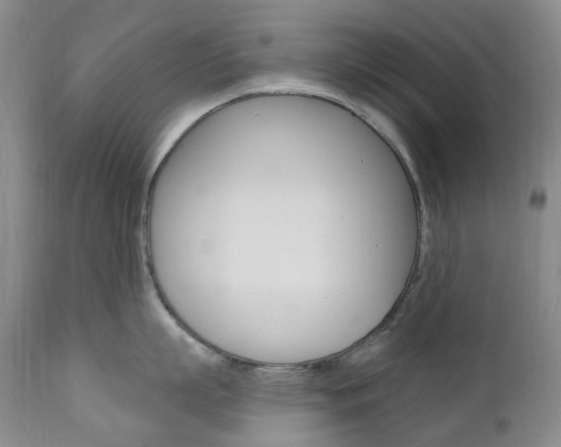 X0000111020863200906191229