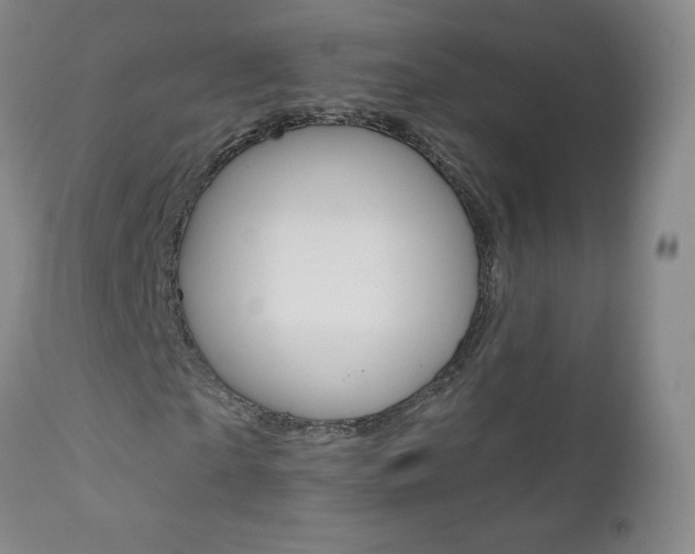 X0000111020865200906191228