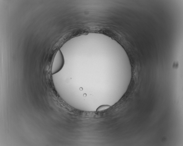 X0000111020866200906191228
