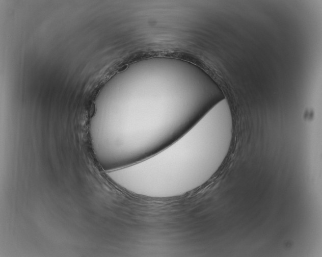 X0000111020867200906191228