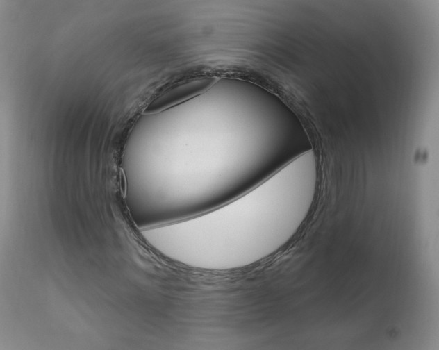 X0000111020868200906191228