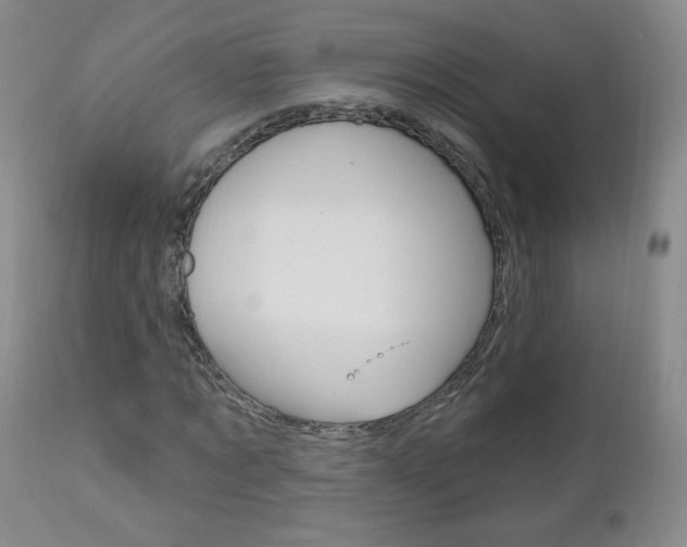 X0000111020869200906191228