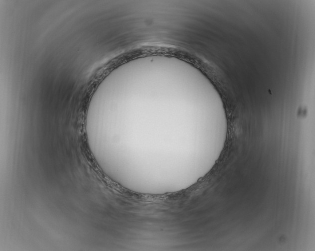 X0000111020870200906191228