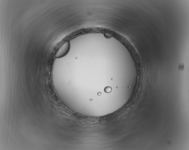 X0000111020871200906191228