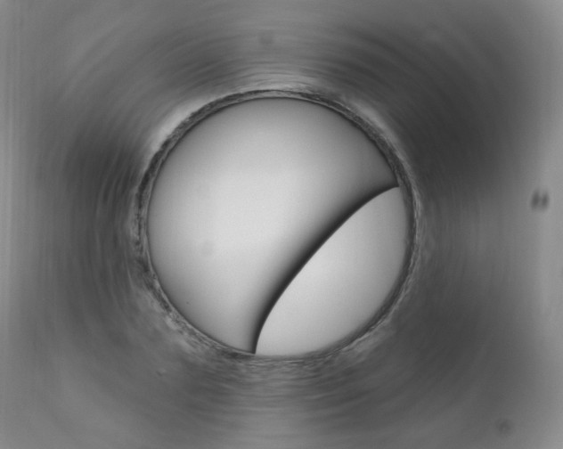 X0000111020883200906191228