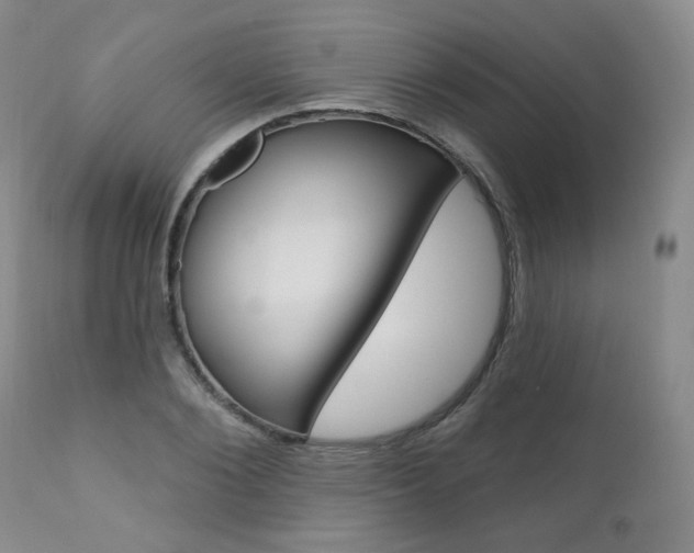 X0000111020884200906191228