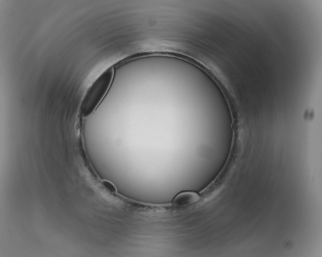 X0000111020885200906191228