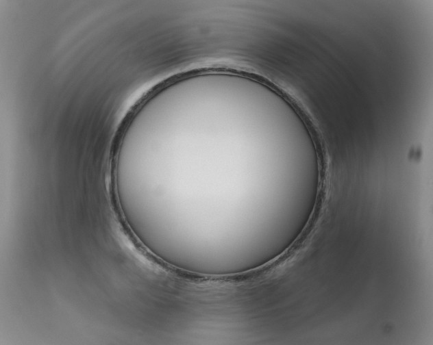 X0000111020888200906191227