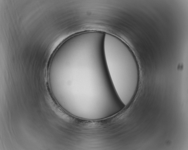 X0000111020891200906191227