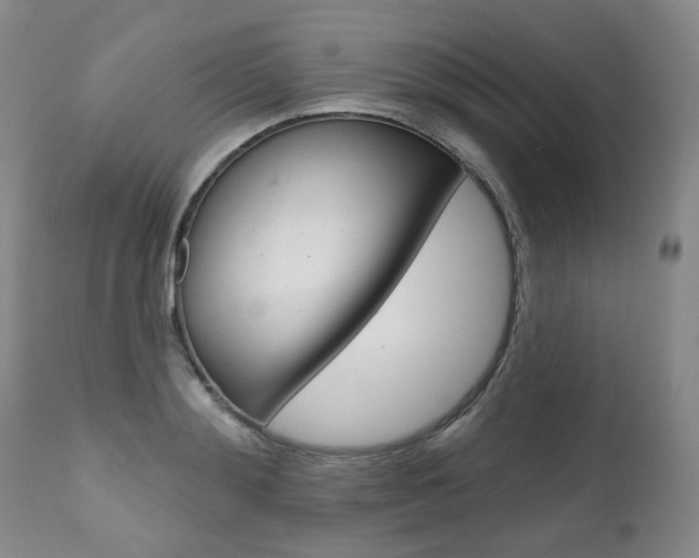 X0000111020892200906191227
