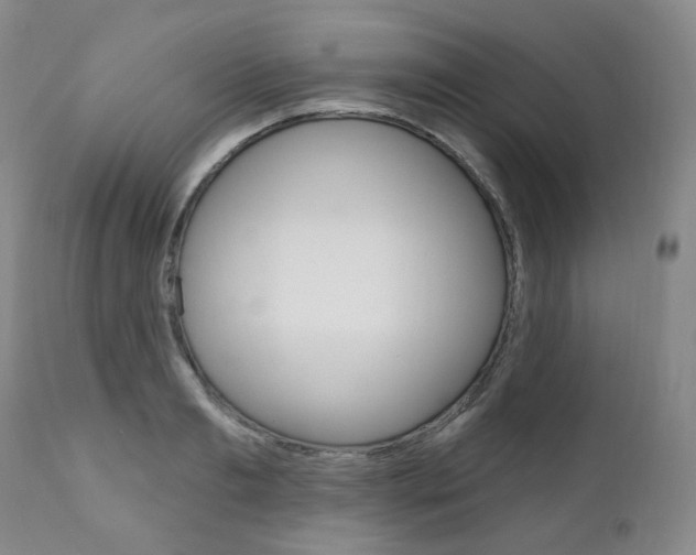 X0000111020893200906191227