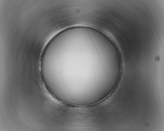 X0000111020900200906191227