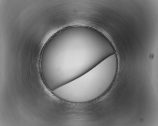 X0000111020901200906191227