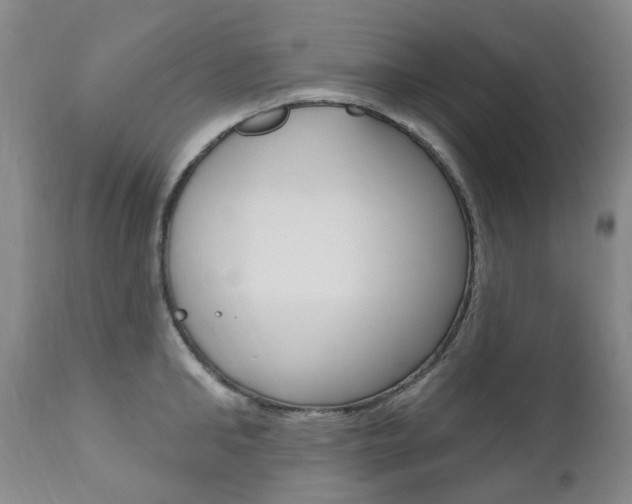 X0000111020902200906191227