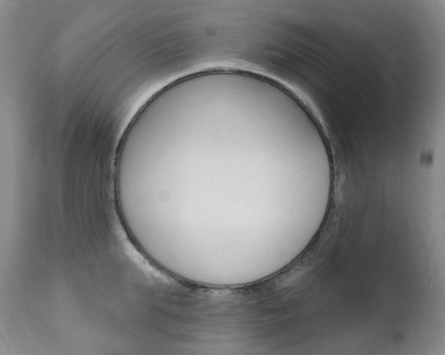 X0000111020903200906191227