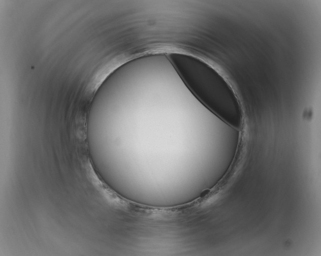 X0000111020905200906191227