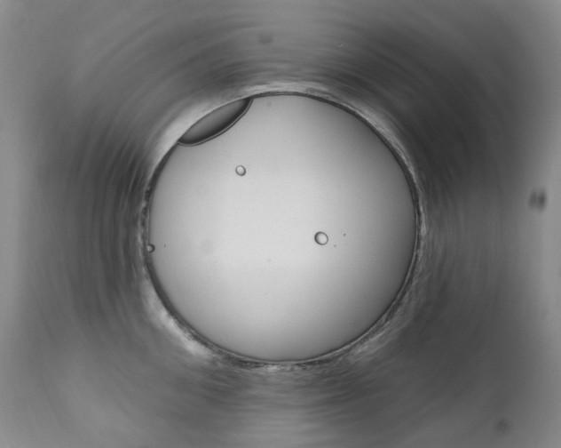 X0000111020906200906191227