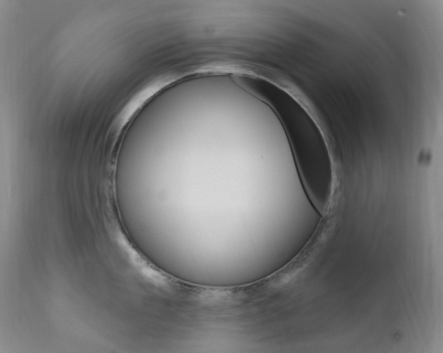 X0000111020909200906191227
