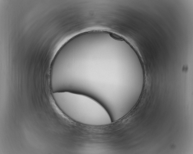 X0000111020911200906191227