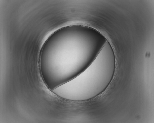 X0000111020912200906191227