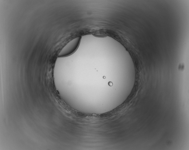 X0000111020914200906191226
