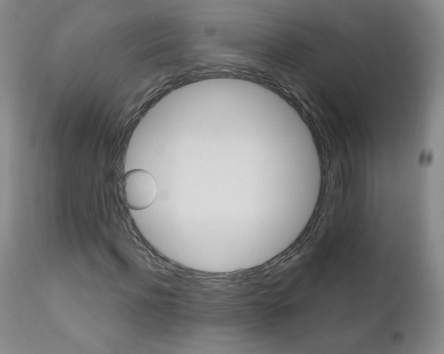 X0000111020916200906191227