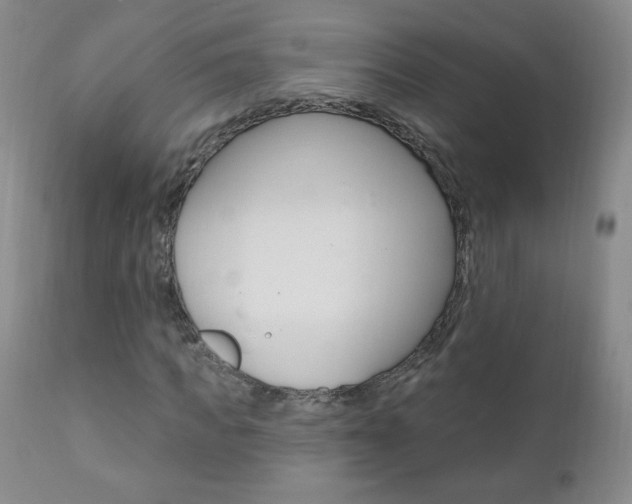 X0000111020917200906191227