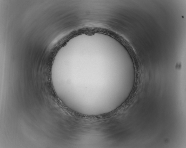 X0000111020919200906191227
