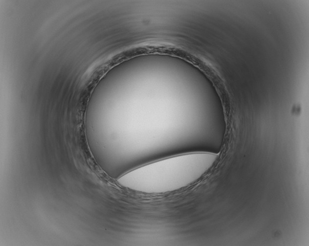 X0000111020920200906191227