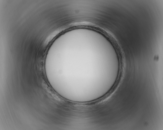 X0000111020921200906191227
