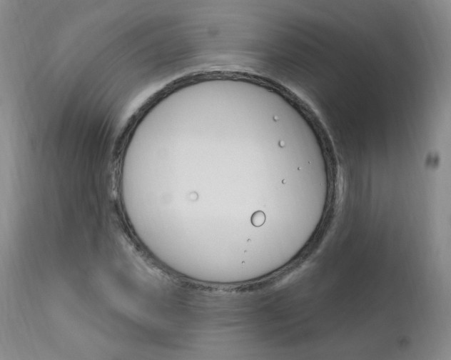 X0000111020925200906191227