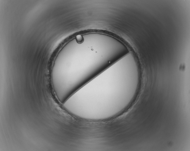 X0000111020926200906191227