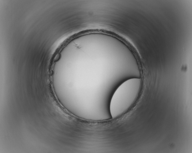 X0000111020927200906191227
