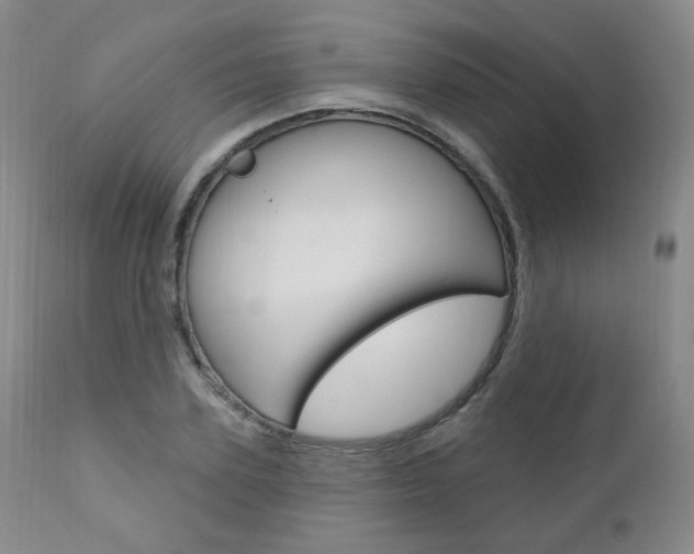 X0000111020931200906191227