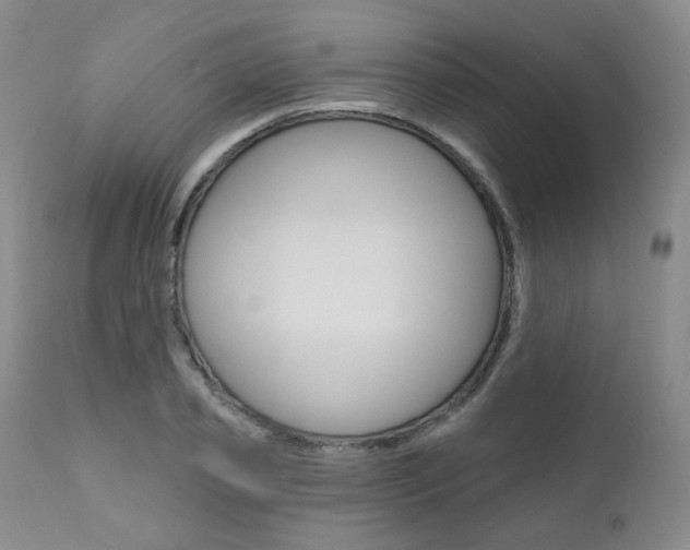 X0000111020933200906191227