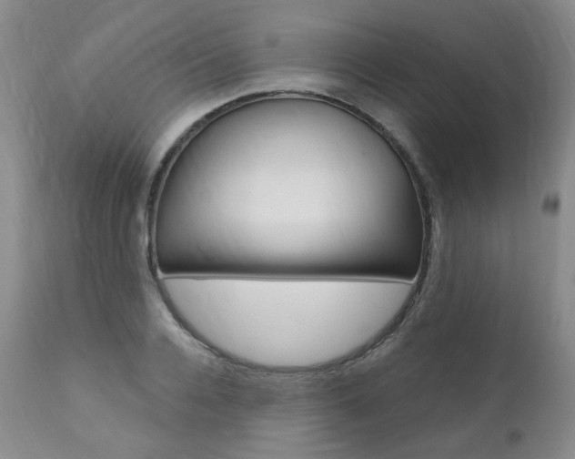 X0000111020936200906191227